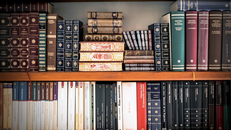 book-shelves-book-stack-bookcase-books-207662.jpg