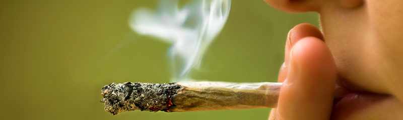 marijuana defense attorney