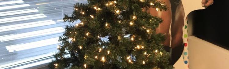 tree.jpg