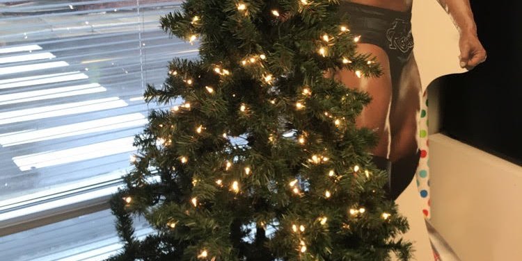 tree.jpg