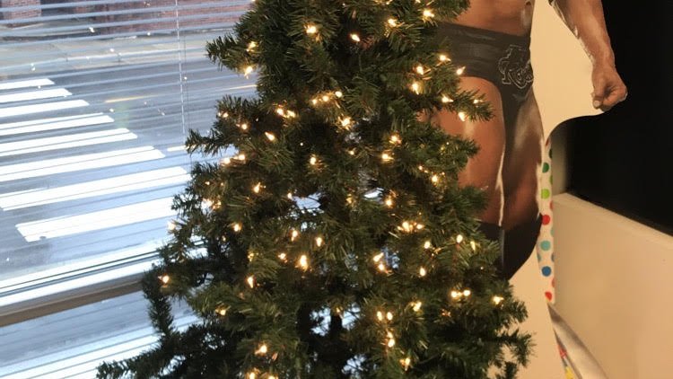 tree.jpg